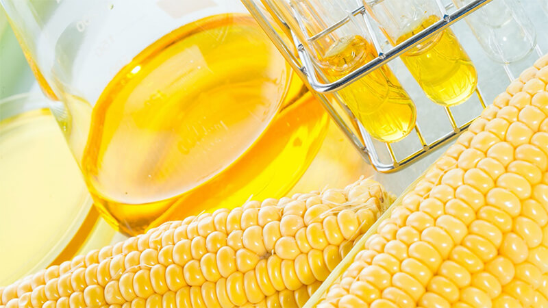 Đường HFCS là gì?