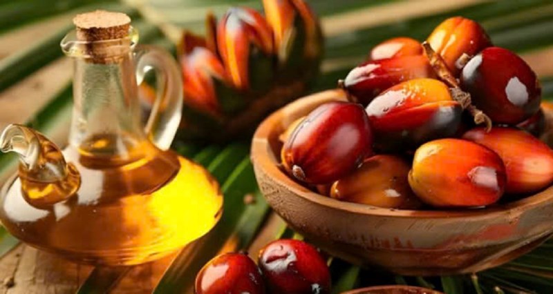 Nhược điểm của dầu cọ trong thực phẩm chế biến và đóng gói